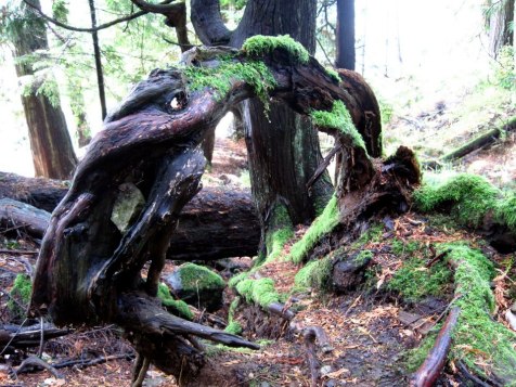 304469_291636680947303_1582327180_n