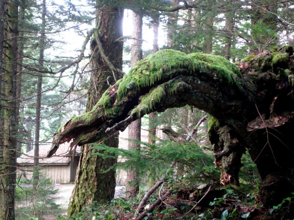 404624_289237684520536_162511092_n