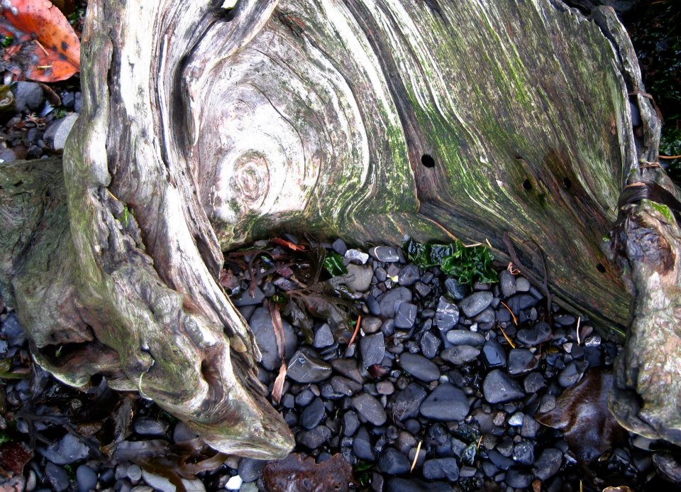 527434_293428784101426_1093234709_n