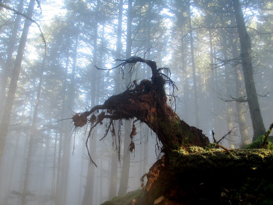 68399_300074796770158_994355031_n