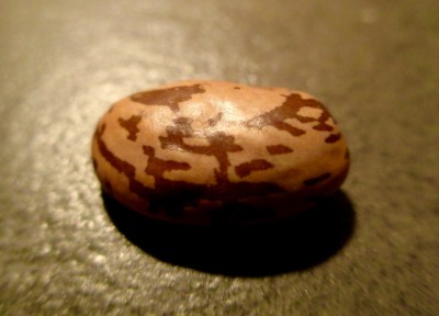 1524425_506797202764582_186981163_o