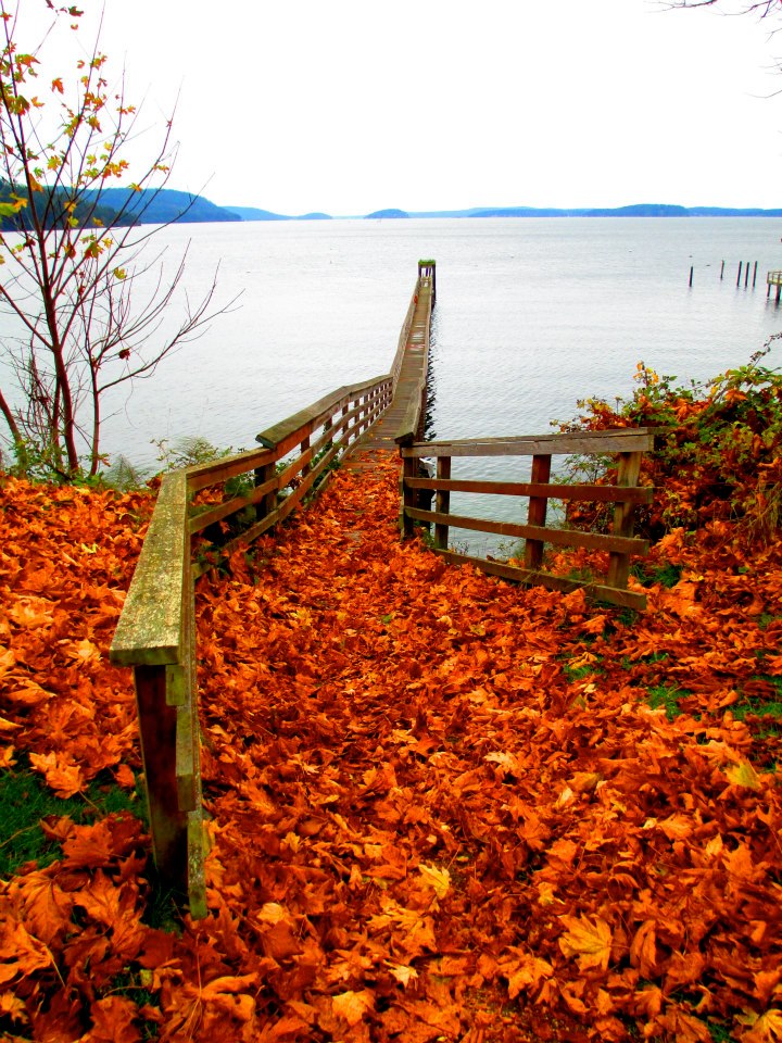 390112_298845763559728_98026084_n