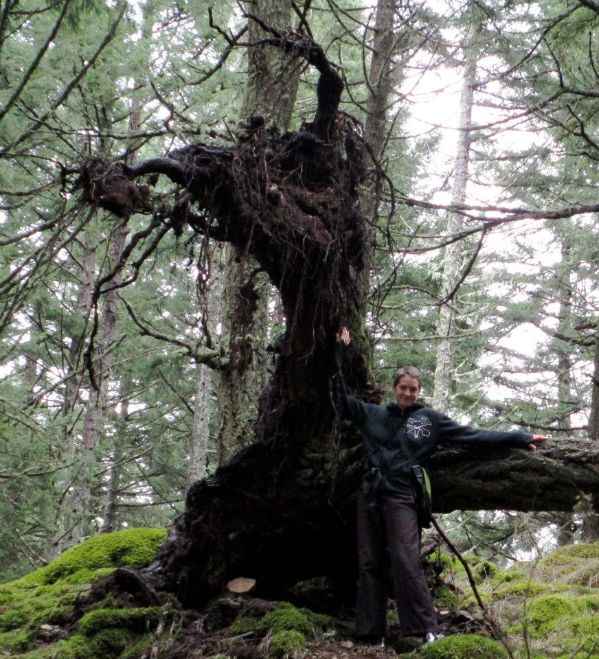 479965_302963283147976_1669516316_n