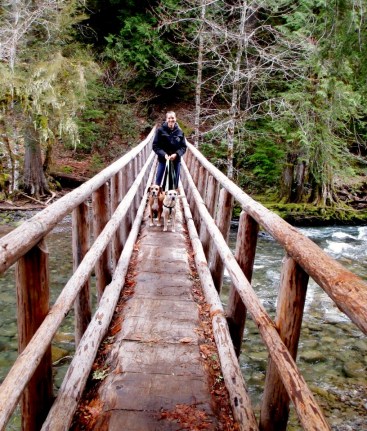 526640_361801413930829_1022100011_n