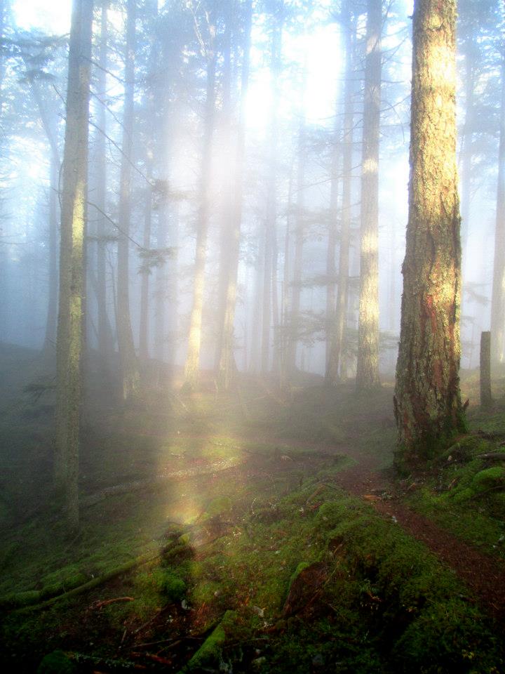 546995_300074756770162_760503568_n