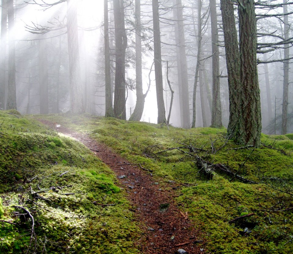 580805_290753304368974_566983114_n