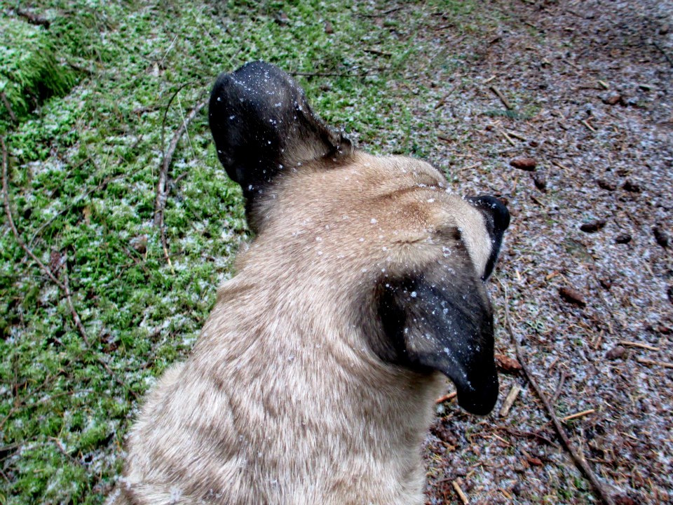 407661_298845693559735_1354252694_n